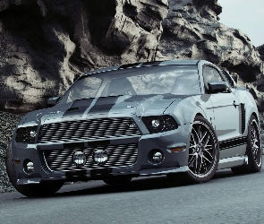 GT500, Ford Mustang