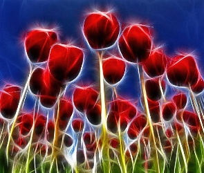 Tulipany, 3D, Czerwone