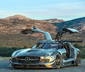 Mercedes SLS, AMG