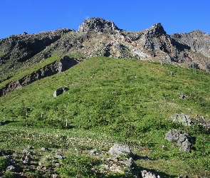 Drzewa, Skały, Góra