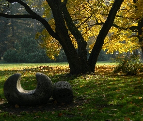Park, Rzeźba, Jesienny