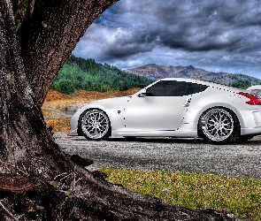 Nissan 370z