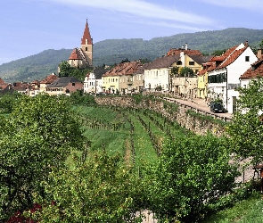 Kościół, Austria, Drzewa, Trawy, Domy