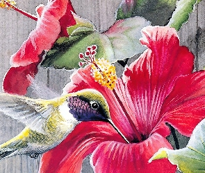Koliber, Art, Kwiat