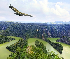 Rzeka, Góry, Ptaki
