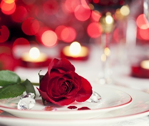 Walentynki, Kolacja, Romantyczna, Róża