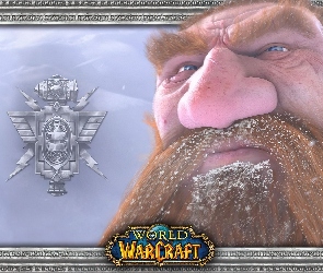 broda, krasnolud, World Of Warcraft, fantasy