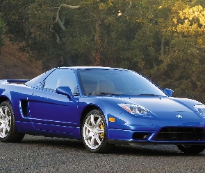 Acura NSX, Spojler, Niebieska