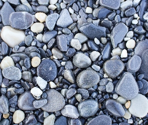 Kamyki