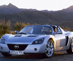 Srebrny, Opel Speedster