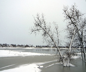 Domy, Dali, Jezioro, Zamarznięte, Drzewa, W