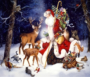 Mikołaj, Zima, Zwierzęta
