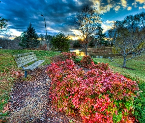 Jezioro, Ławka, Park