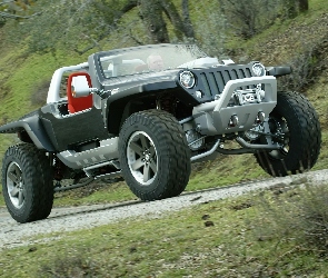 Prototyp, Jeep