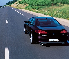 SPORT, Peugeot 607