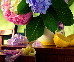 Cytryny, Kwiatów, Kolorowy, Bukiet