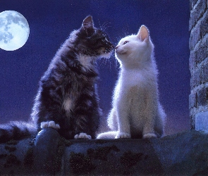 Dwa, Miłość, Pełnia, Księżyca, Koty