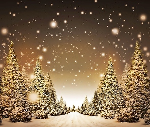 Choinki, Śnieg, Narodzenie, Boże