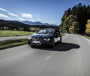 Drzewa, Droga, Audi, RS4