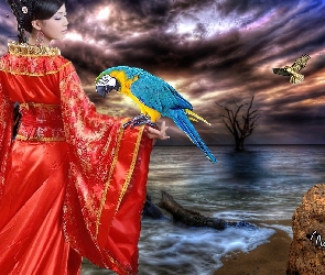Morze, Papuga, Kobieta, Kimono