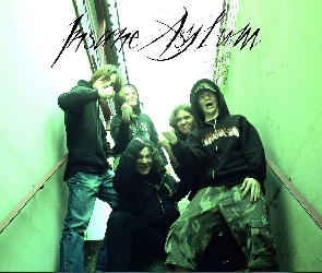 zespół, Insane Asylum