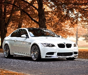 Droga, Liście, Bmw M3 Coupe