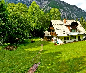 Zieleń, Drzewa, Góry, Dom