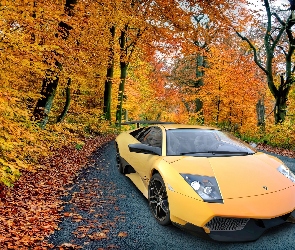 Lamborghini Murcielago, Jesień, Las