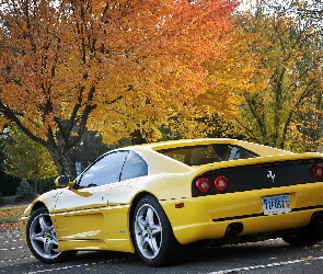 Ferrari 355 F1 Berlinetta, Drzewa, Plac