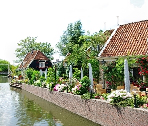 Miasteczko, Holandia, Abbekerk