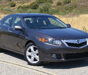 Atrapa, Szyby, Acura TSX