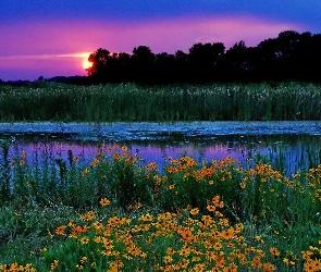 Zachód Słońca, Kwiaty, Jezioro