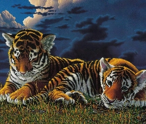 Dwa, Chmury, Tygrysy, Młode