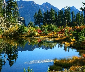Drzewa, Krajobraz, Jezioro