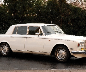 Biały, Rolls Royce