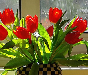 Okno, Tulipanów, Bukiet