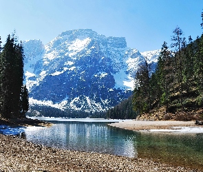 Las, Rzeka, Góry