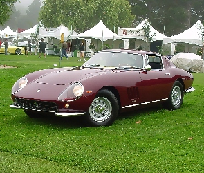 Bordowe, Zlot, Ferrari 275