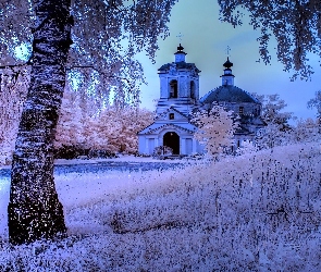 Kościół, Zima, Drzewa