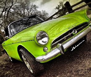 Ogrodzenie, Drzewa, Sunbeam Alpine, Podwórko