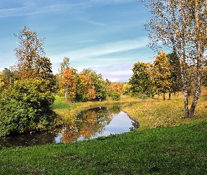 Drzewa, Jesień, Alejka, Rzeczka, Park
