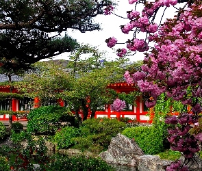 Budynek, Japonia, Rośliny, Staw, Ogrody
