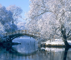Rzeka, Zima, Drzewa, Most