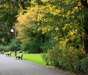 Park, Ławki, Alejka, Drzewa