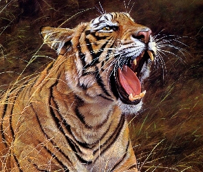 Tygrys, Trawy