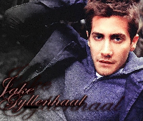Jake Gyllenhaal, niebieskie oczy