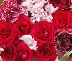 Kolorowe, Bukiet, Róże
