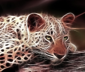 Gepard, Fraktal