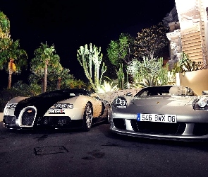 Kaktusy, Porsche Carrera Veyron, Dwa