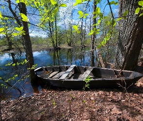 Rzeka, Las, Łódź